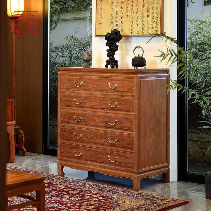 Pterocarpus macrocarpus five-drawer chest in a living room setting