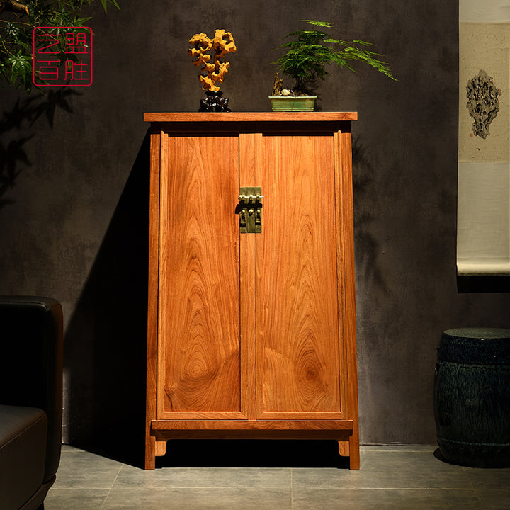 Elegant Pterocarpus macrocarpus tall cabinet in a living room